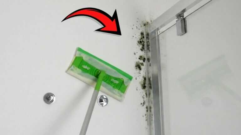 10 trucchi che pochi conoscono per combattere calcare e muffa in bagno