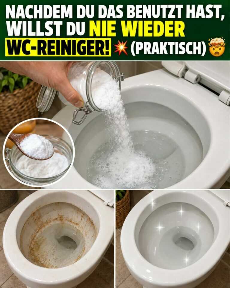 Nachdem du DAS benutzt hast, willst du NIE WIEDER WC-Reiniger! 💥 (PRAKTISCH) 🤯