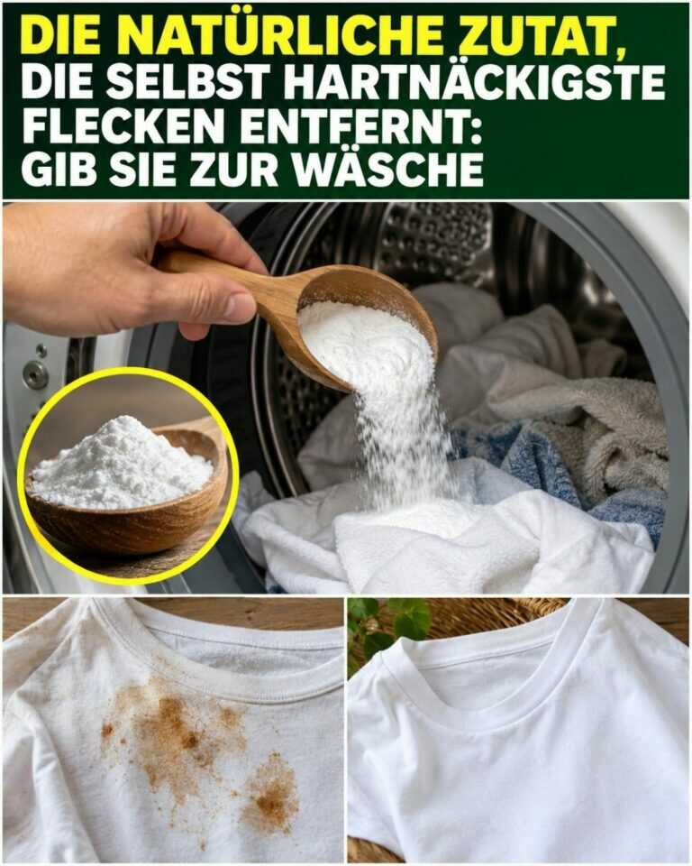 Die natürliche Zutat, die selbst hartnäckigste Flecken entfernt: Gib sie zur Wäsche