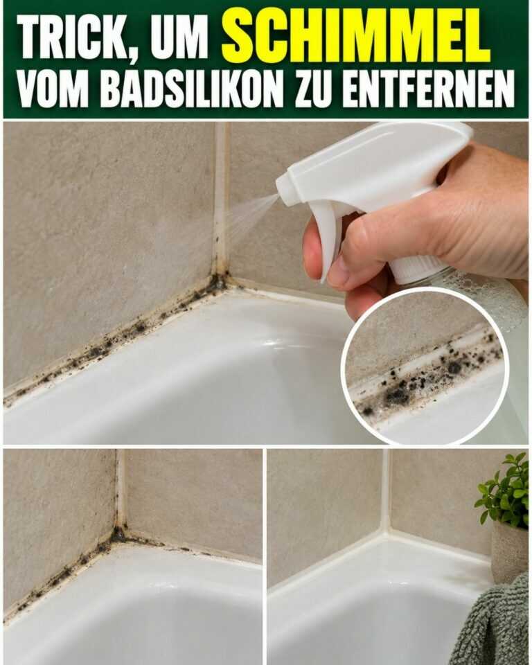 Trick, um SCHIMMEL vom Badsilikon zu ENTFERNEN