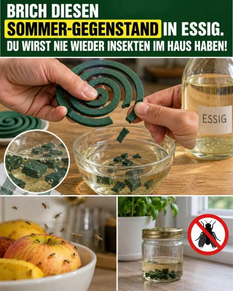 Brich DIESEN Sommer-Gegenstand in Essig. Du wirst nie wieder Insekten im Haus haben!