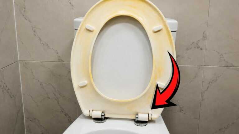 Statt gelbe Flecken am WC Sitz zu schrubben, mach DAS – dann kommen sie kaum noch zurück
