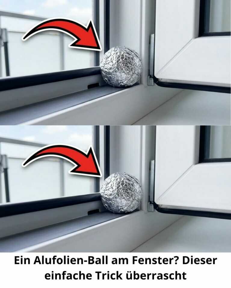 Ein Alufolien-Ball am Fenster? Dieser einfache Trick überrascht