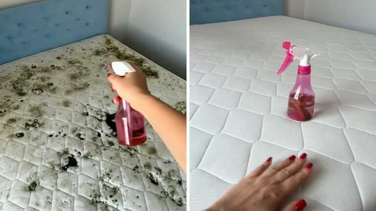 Natürliches Spray gegen Milben — so kannst du die Matratze schnell auffrischen