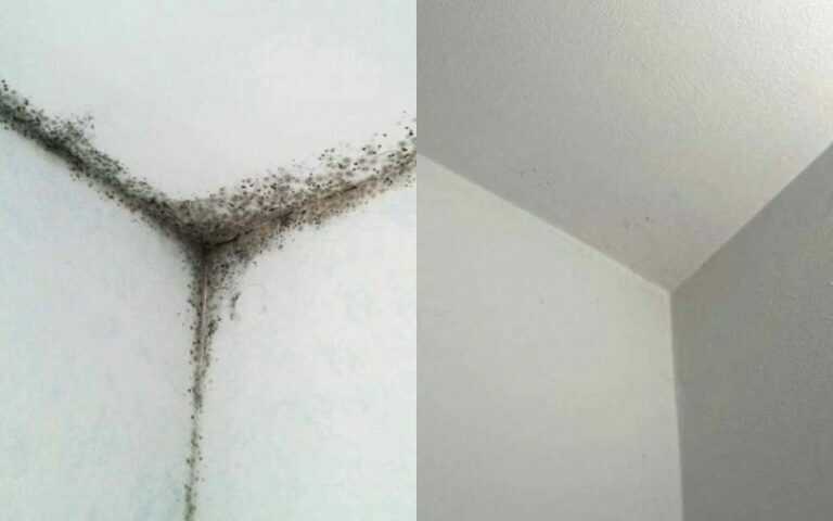 Ein dauerhaft wirksamer Trick gegen Schimmel im Badezimmer!