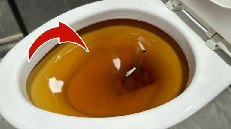 PLUMBERS Are HIDING This From You, the Clog DISAPPEARS Instantly! 💥 (PRACTICAL) 🤯