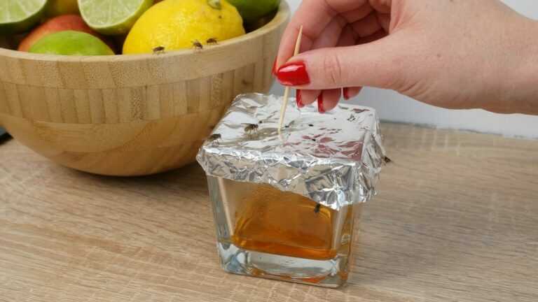 Put THIS Near Your Fruit: Fruit Flies Disappear Instantly