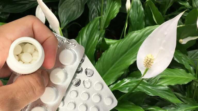 Together, These Tablets Revive Any Flower and Trigger Lush Blooms! Peace Lilies and Geraniums Thrive!