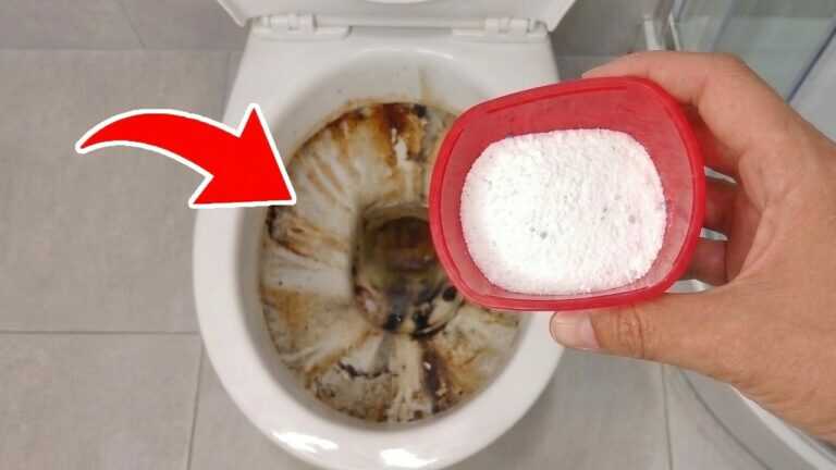 It’s Incredible! Pour THIS Powder Into the TOILET and See What Happens