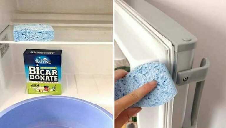 How to Clean Your Fridge and Remove Bad Odors!