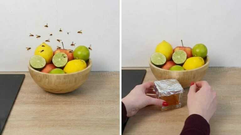 Endlich bin ich diese EKLIGEN Fruchtfliegen los! Diese Falle empfehle ich jedem…