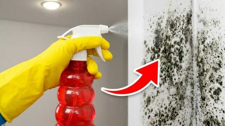 Humidité, condensation, joints noirs : les 3 signes à ne pas ignorer