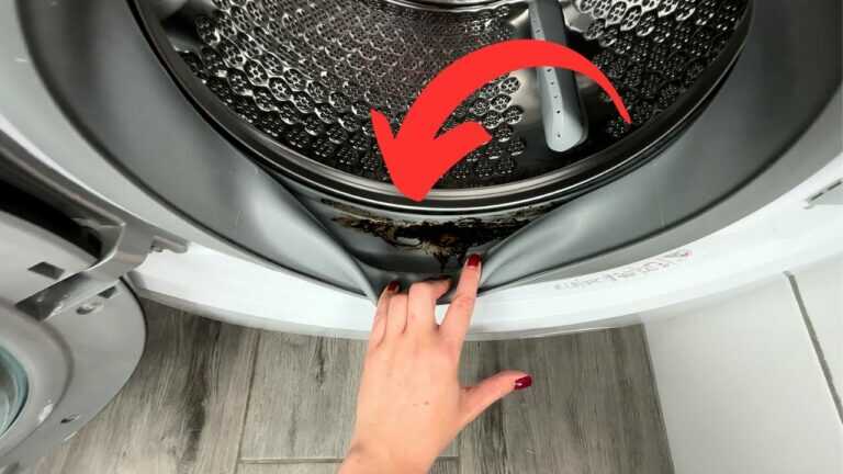 Wirf es in die Waschmaschine. Es frisst allen Schmutz und Schimmel weg