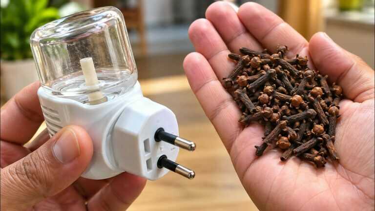 MORÍA Y NO LO SABÍA: Solo pon CLAVOS DE OLOR en un RAID VACÍO para NO VOLVER A SUFRIR con MOSQUITOS en casa