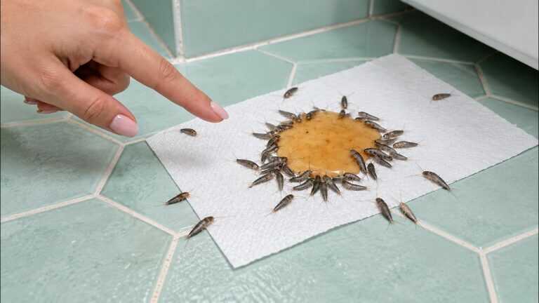 ¿Pececillos de plata en tu baño? Este truco poco conocido con periódico los elimina para…