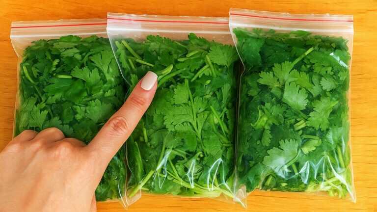 Smetti di mettere il coriandolo in frigorifero – Conserva il coriandolo fresco per un anno |