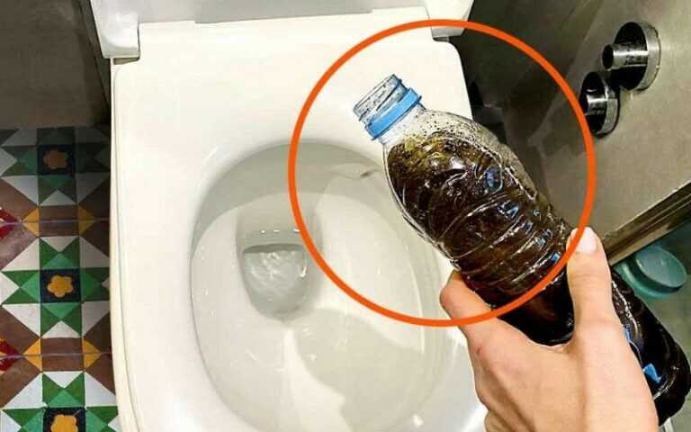 Fondi di caffè nel WC: il trucco che promette di risolvere un grande problema in bagno!