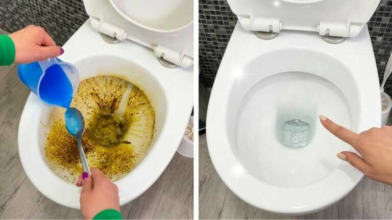 Perché tutti mettono un tubo e una bottiglia nel WC? Il trucco geniale