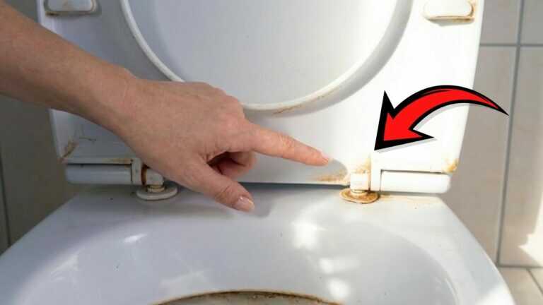 Einfach auftragen und eine Stunde warten. Der gelbe Toilettensitz wird wieder schneeweiß