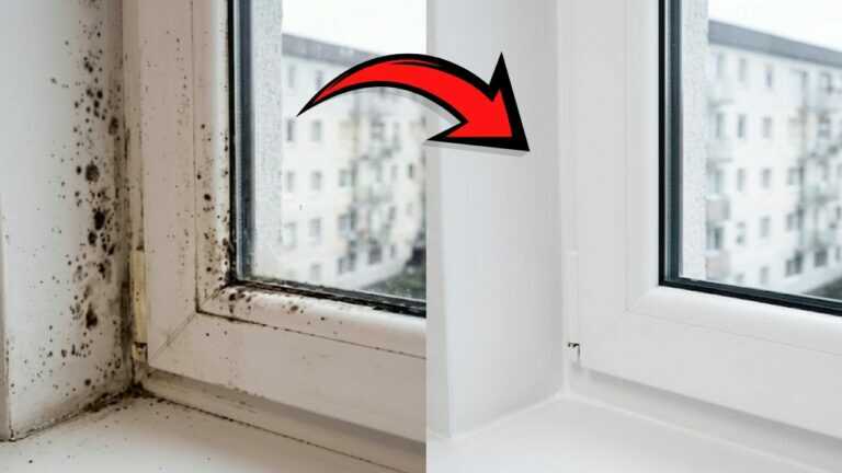 99,8 % kennen diese Fensterfunktion nicht. Sie kann dein Zuhause vor Schimmel schützen