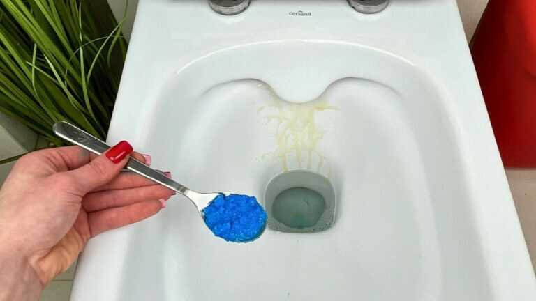 Le addette alle pulizie usano questo trucco per avere un WC impeccabile
