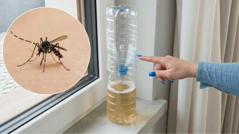 Versa questo prodotto nella bottiglia: 483 zanzare in una sola notte!