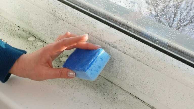 Say Goodbye to Humidity in the Rooms of Your Home and Discover the Simple Solution!