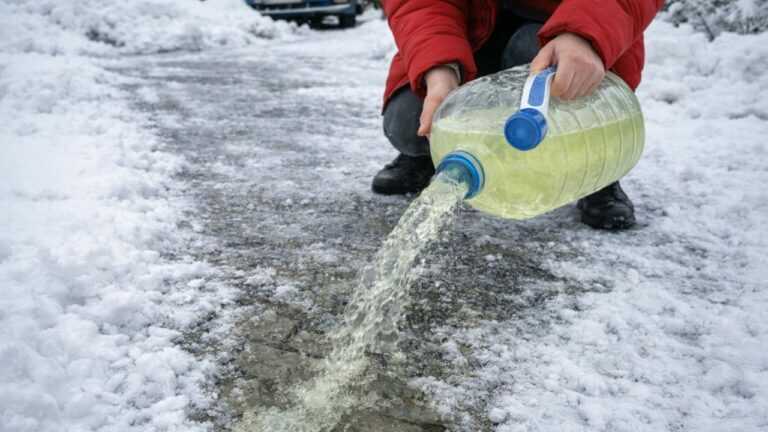 Stop SALTING! Your Sidewalk Never Freezes Again