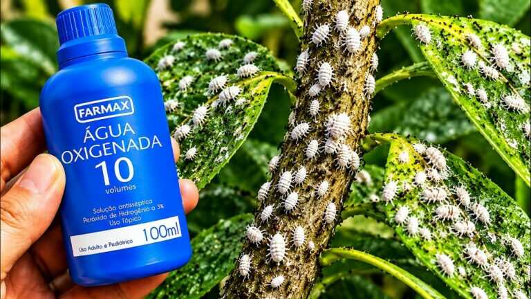 KILLS EVERYTHING IN 5 SECONDS (caterpillars, aphids, ants, flies, scale insects, and all pests)