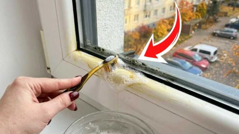 Cleverer Reinigungsschaum für weiße Fensterrahmen! Jeder hat diese Zutat in der Küche