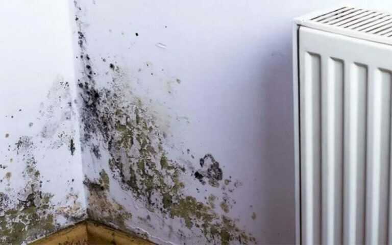 Feuchtigkeit im Haus? Omas cleverer Trick gegen das Problem!